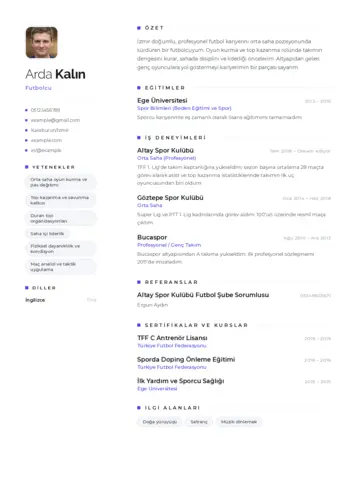  cv indir